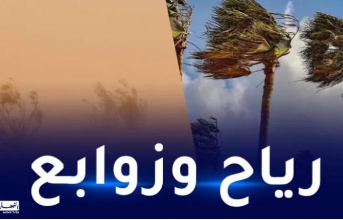 رياح
      قوية
      وزوابع
      رملية
      على
      4
      ولايات
      اليوم - غاية التعليمية