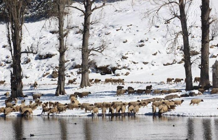 الأرصاد
      الجوية:
      أمطار
      وثلوج
      مرتقبة
      في
      المغرب
      على
      مدار
      أربعة
      أيام - غاية التعليمية