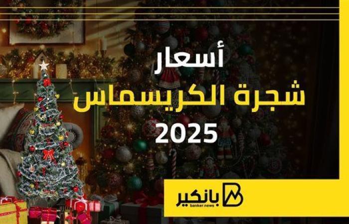 أسعار
      شجرة
      الكريسماس
      2025 - غاية التعليمية