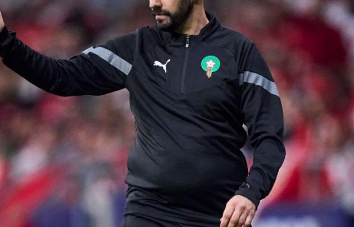 المغرب يتجه لسحب البساط من هولندا وضم موهبة جديدة